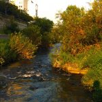 Cheonggyecheon, Seol South Korea
