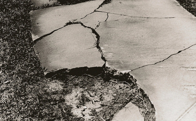 Cracked Sidewalk. Image courtesy of jazart90 on Flickr.