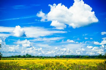 Northern Macomb County, Photo by John Cruz.