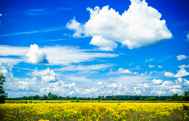 Northern Macomb County, Photo by John Cruz.